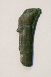 Delfinek z Olbii