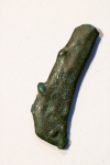 Delfinek z Olbii