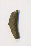 Delfinek z Olbii