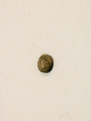 Hemihektemorion
